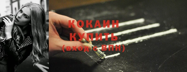 прущие грибы Куйбышев