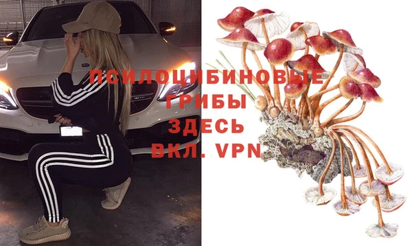 кокс Кулебаки