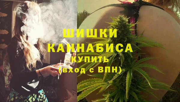 прущие грибы Куйбышев