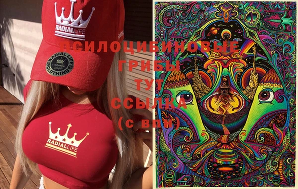 прущие грибы Куйбышев