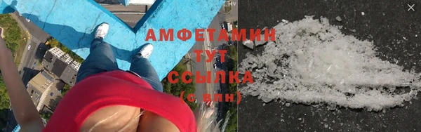прущие грибы Куйбышев