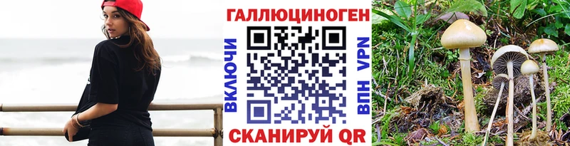Галлюциногенные грибы ЛСД  Купить где  Шарыпово 